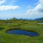 2009.08.23_1 ガキの田(池塘;ちとう)が広がる弥陀ヶ原高原