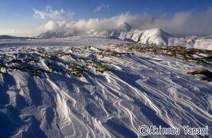04吹雪の去った風の爪あと
