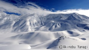 02冠雪の立山全景