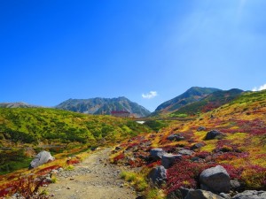 9.29天狗平～室堂平の水平道より